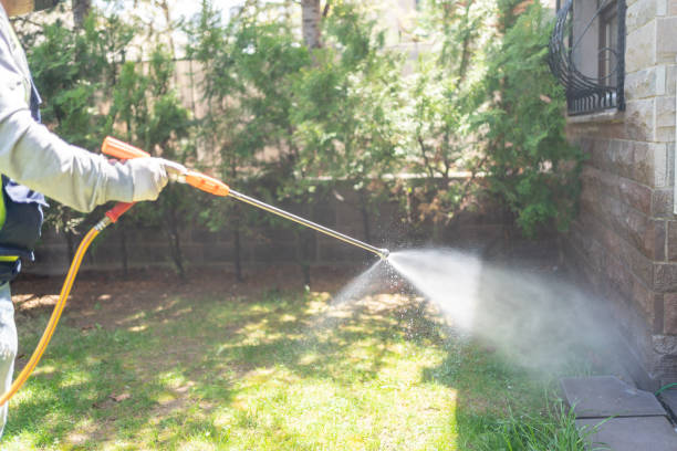 Seasonal Pest Control (e.g., summer mosquitoes, winter rodents) in Golden Shores, AZ